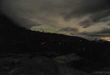 Roraima fireflies