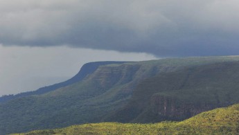 Noel Kempff Mercado National Park – Huanchaca Plateau