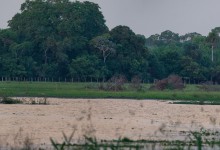 Pousada Xaraés, Pantanal