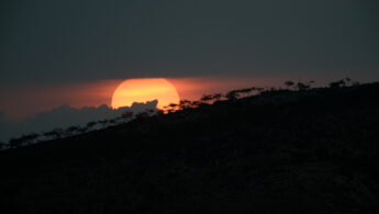 Socotra sunset silhouettes