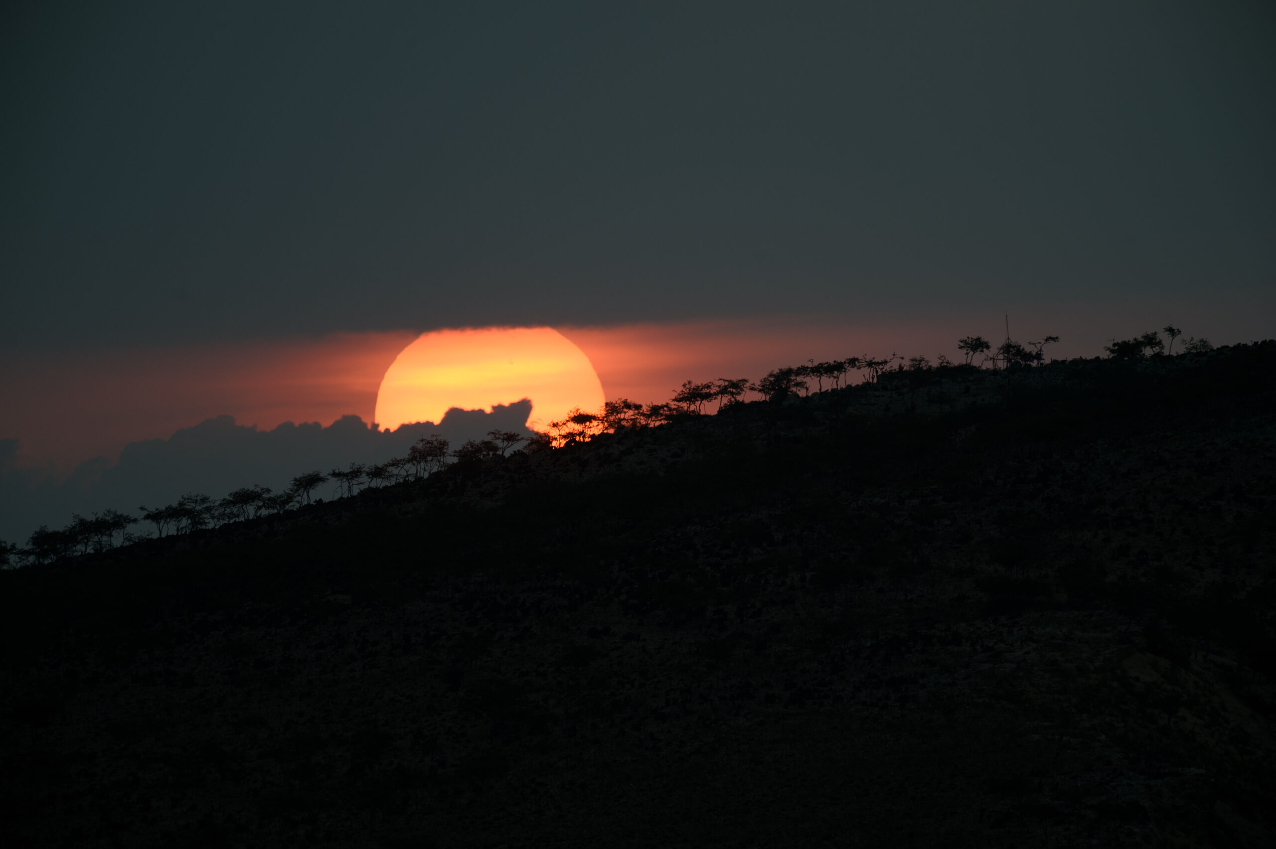 Socotra sunset silhouettes