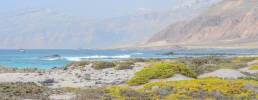 Erissel - Socotra east cape
