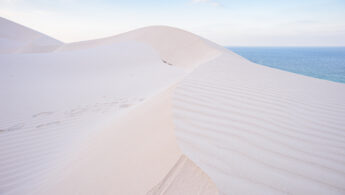 Archer sand dunes, Socotra