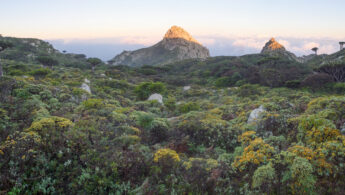 Haghier mountains, Socotra