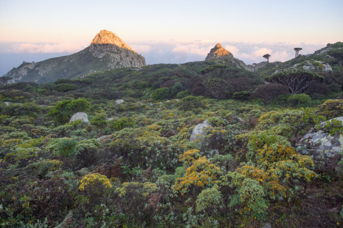 Haghier mountains, Socotra