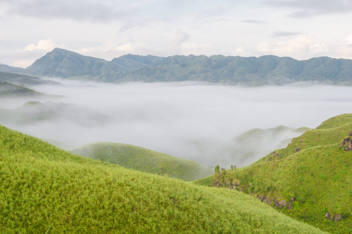 Dzukou Valley, Nagaland & Manipur