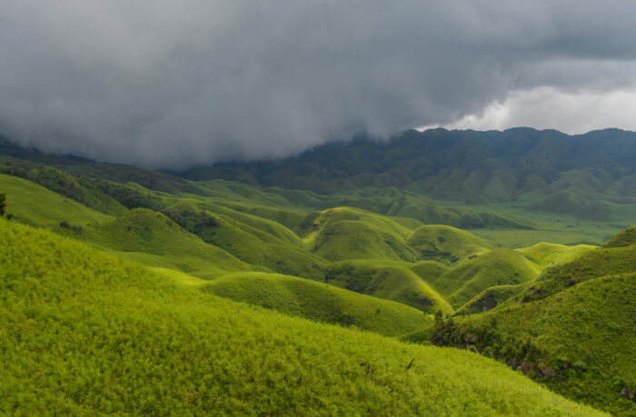 Dzukou Valley, Nagaland & Manipur