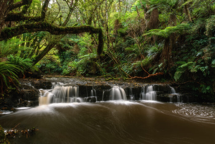 Purakaunui Falls, New Zealand