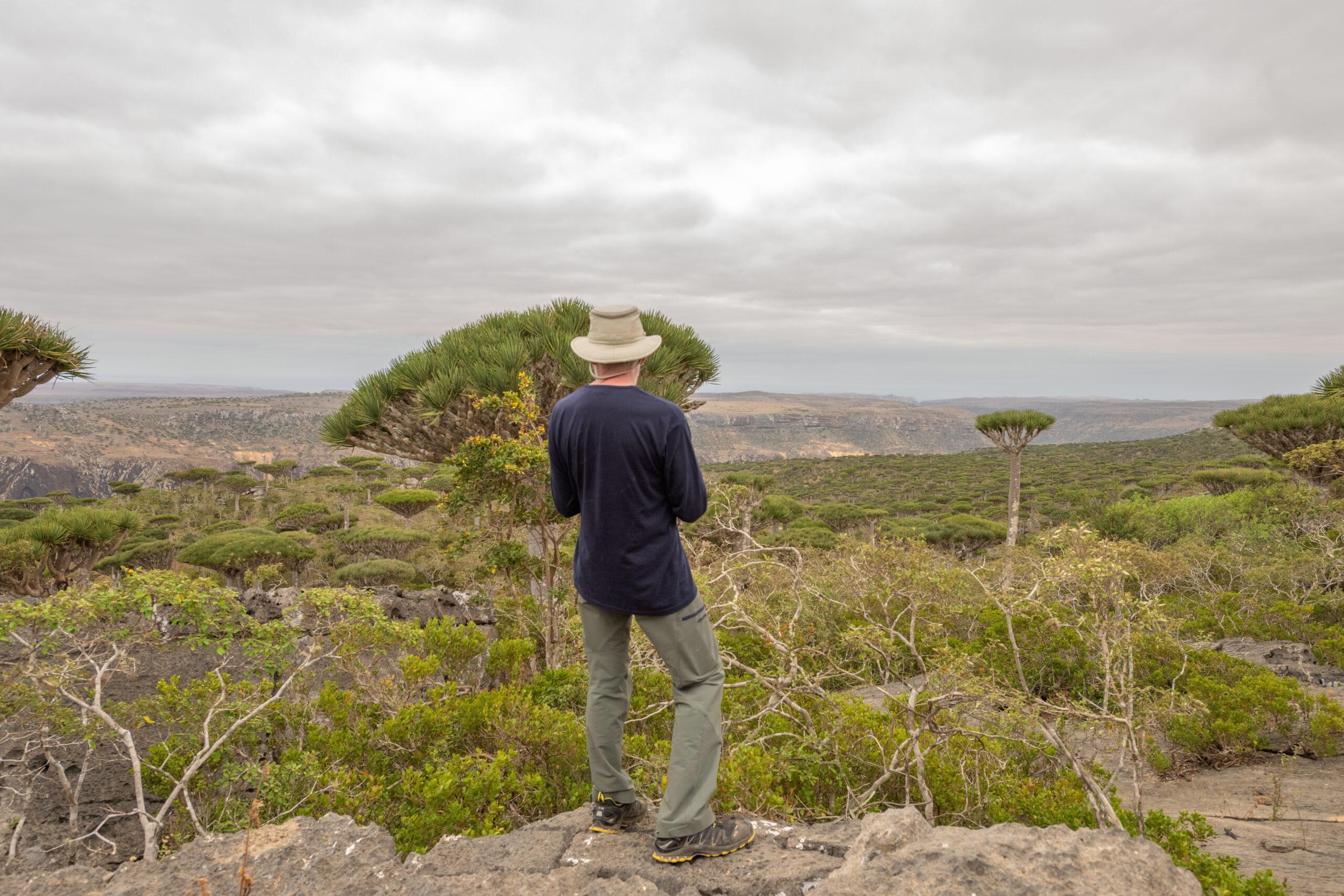 Morten Ross and Firhmin Forest, Socotra