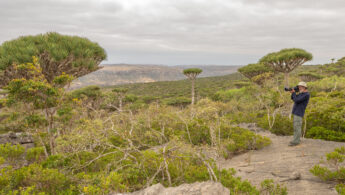 Morten Ross and Firhmin Forest, Socotra