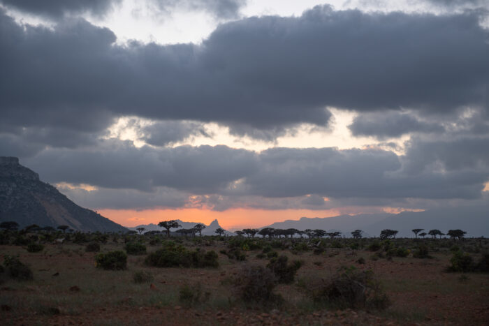 Homhil, Socotra