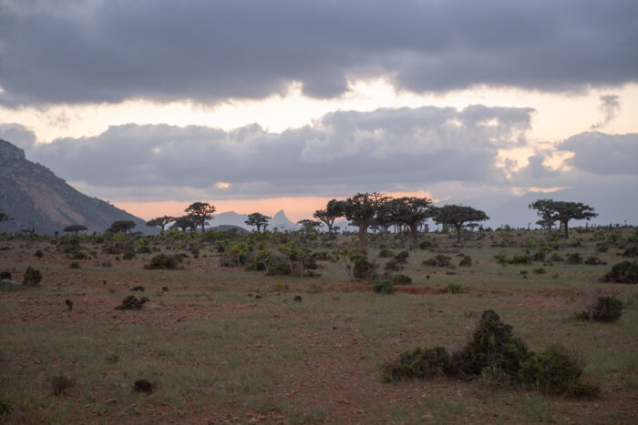 Homhil, Socotra